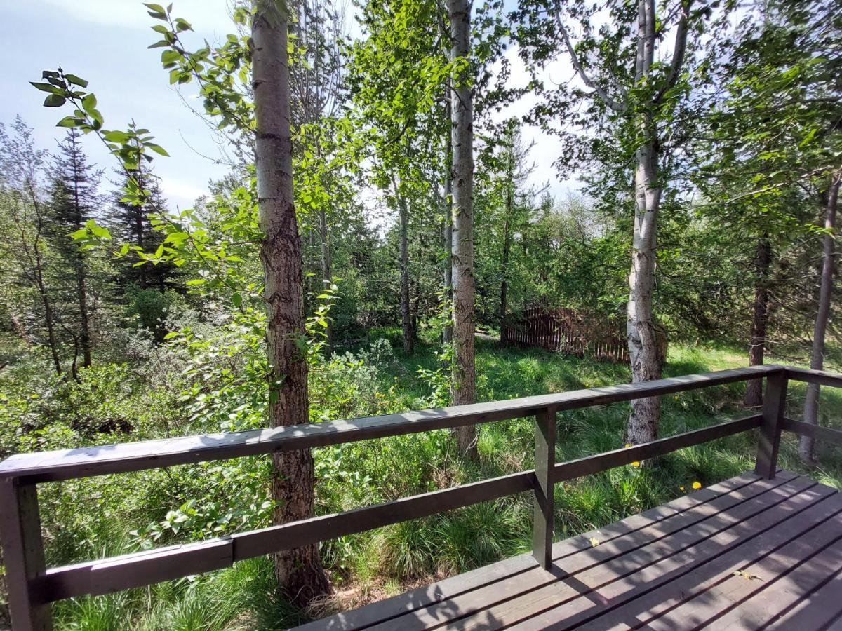 Bakkakot 3 Cozy Cabin In The Woods Akureyri Exterior photo